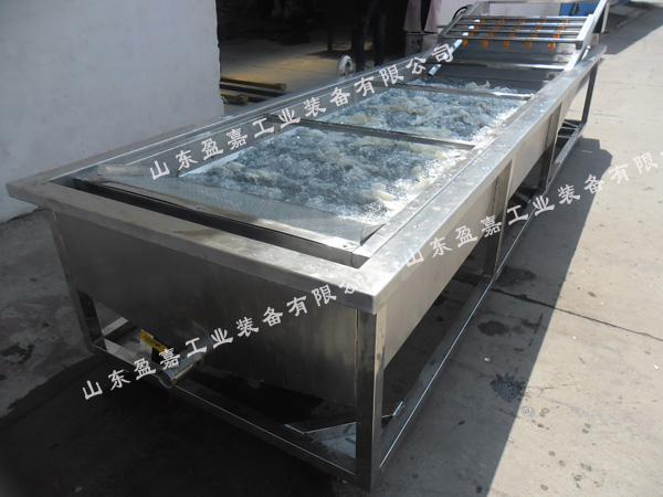 連續式蘑菇鼓泡清洗機，支持加工定制