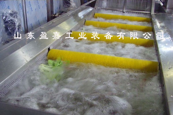 毛刷式毛發去雜蔬菜清洗機